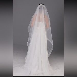 Elegant Cathedral Length Veil (108in) in Light Ivory